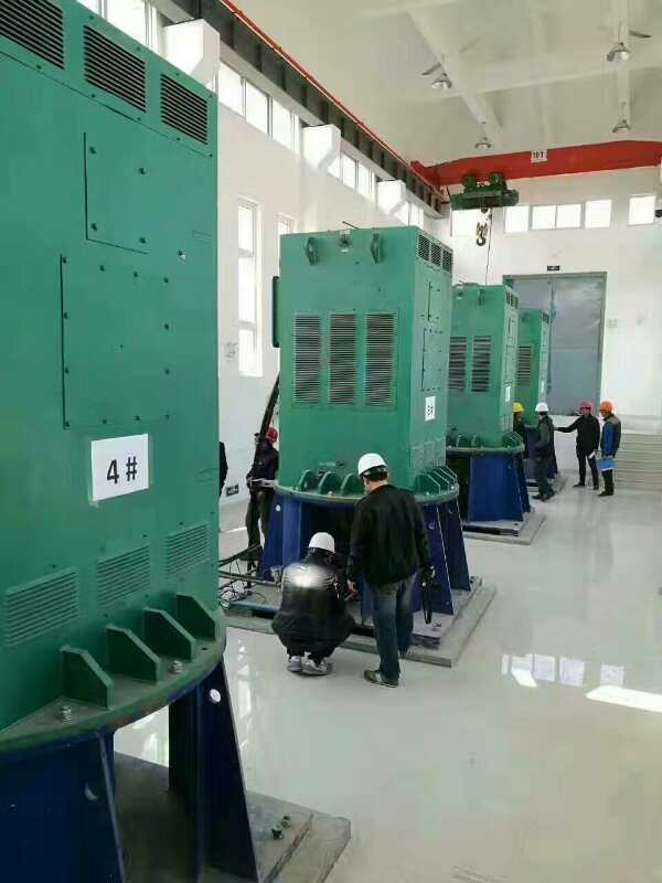 东莞某污水处理厂使用我厂的立式高压电机安装现场